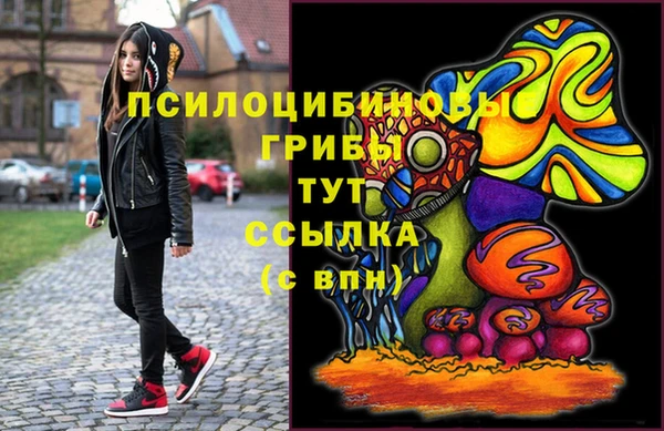 гидропоника Абаза