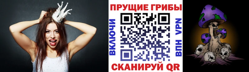 Галлюциногенные грибы MAGIC MUSHROOMS  магазин продажи   Белоусово 